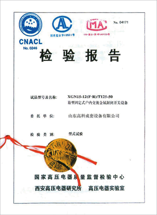 箱型固定式金属封闭开关设备 试验报告