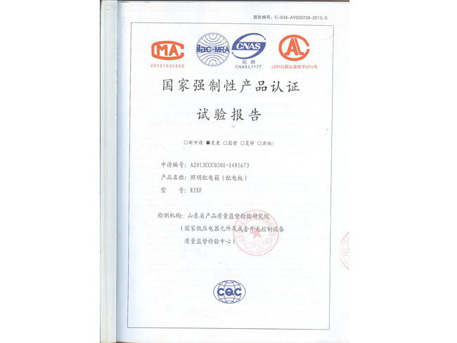 照明配电箱（配电板）RJXF试验报告